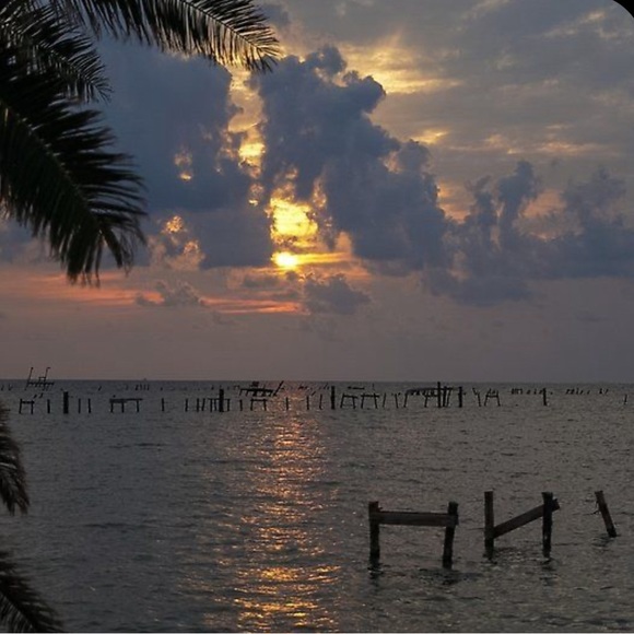 Meet your Posher, Brenda - Picture 1 of 1